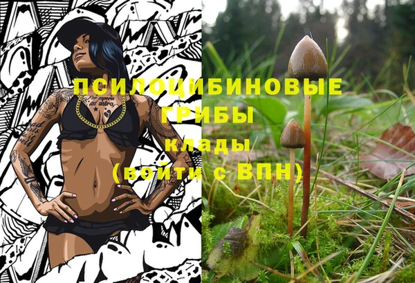 2c-b Зеленокумск